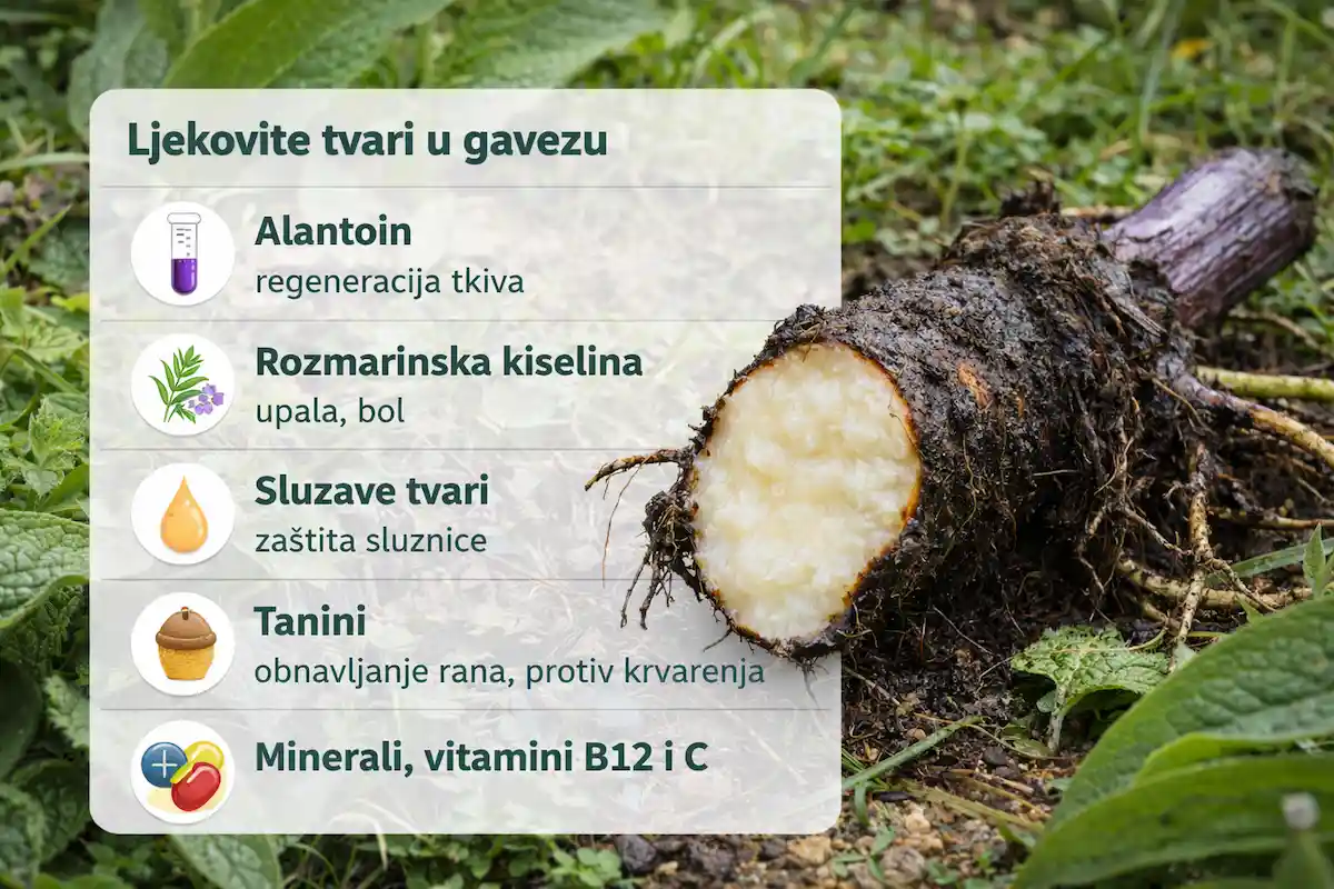 Ljekovite tvari u gavezu