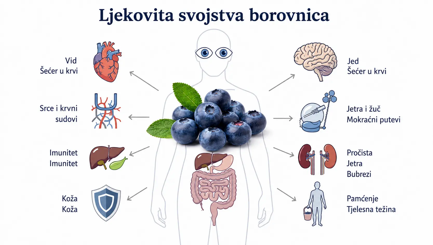 Ljekovita svojstva borovnice