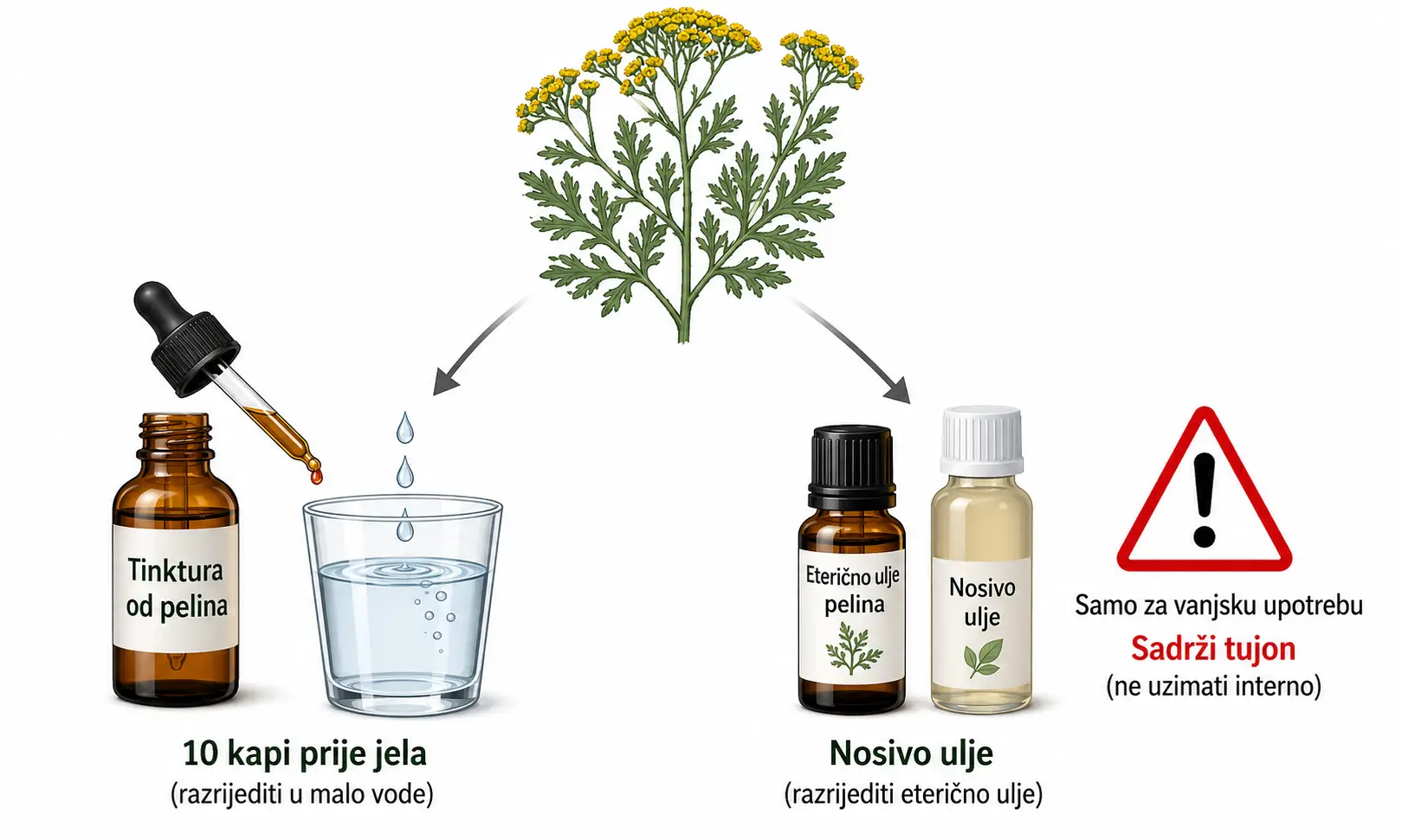 Tinktura i druga upotreba pelina