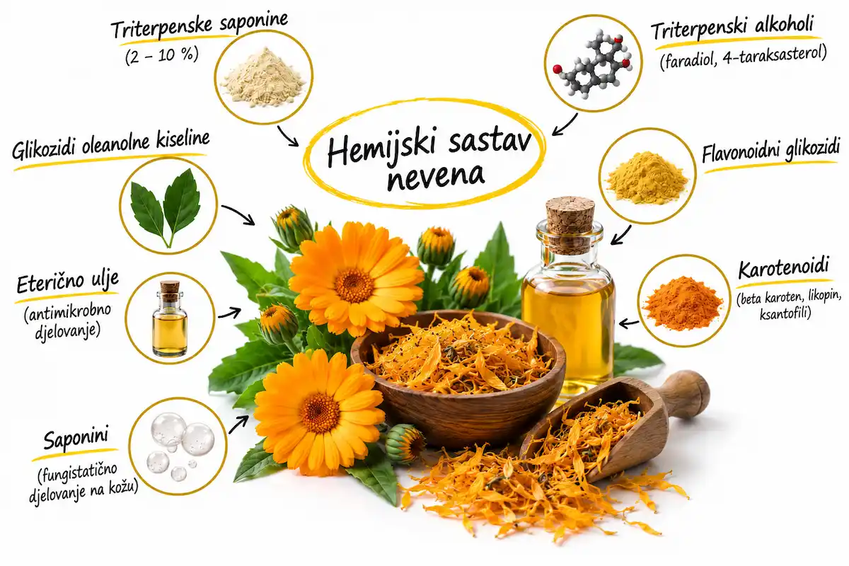 Hemijski sastav nevena